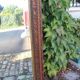 Black Forest Style Mirror XIX Century Attributed to the Levera Brothers in Turin