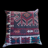Cushion