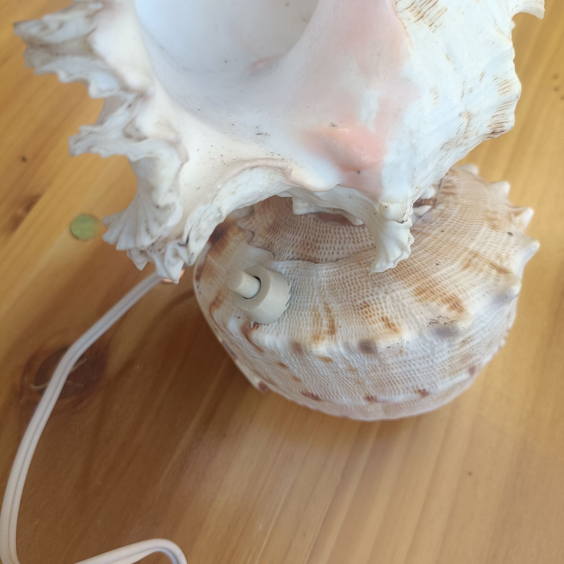 Shell lamp 60's