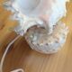 Shell lamp 60's