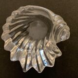 Empty crystal pocket in the shape of a shell