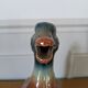Duck pitcher
