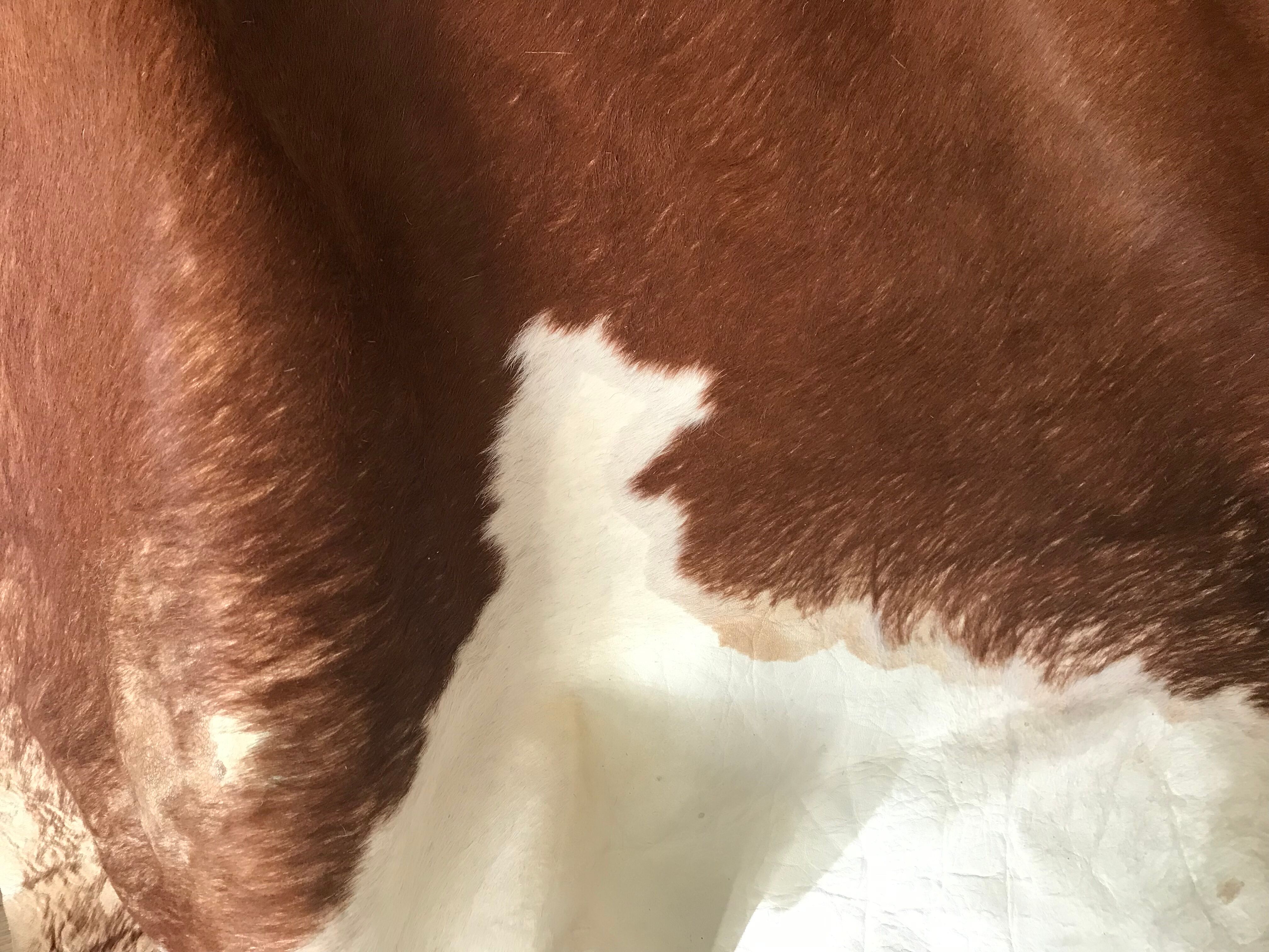 Vintage cowhide 225x170cm