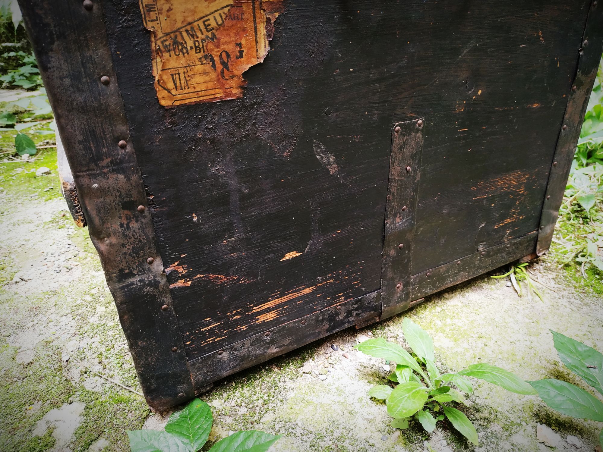 Bulging trunk late nineteenth, L. Meillard, Lyon