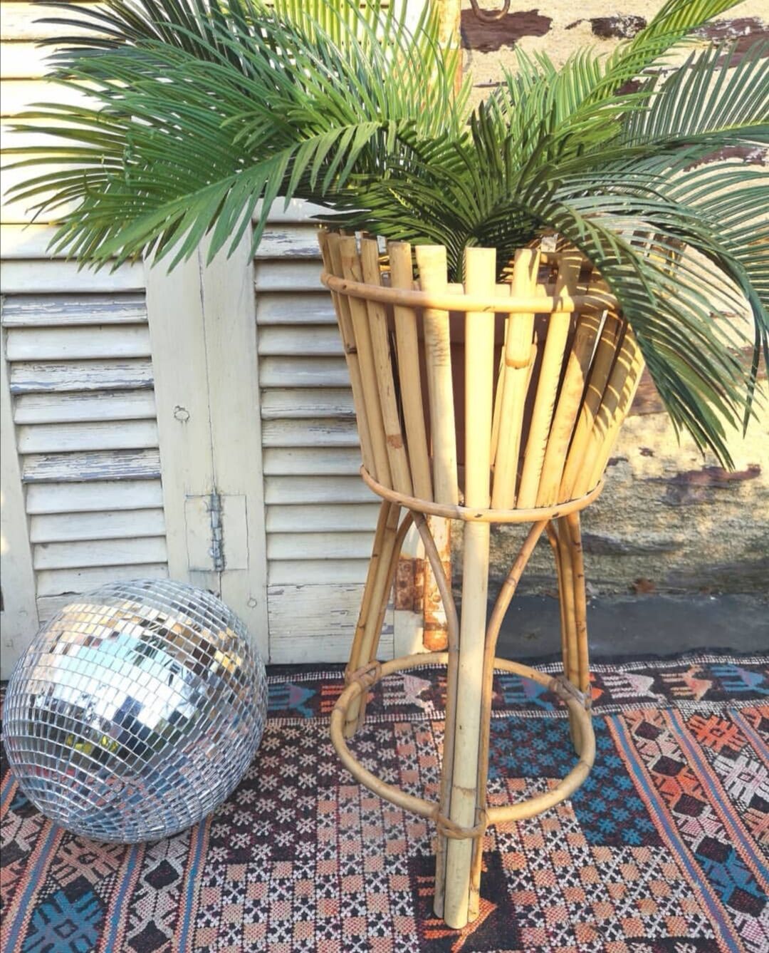 Rattan and bamboo holder plants