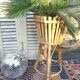 Rattan and bamboo holder plants