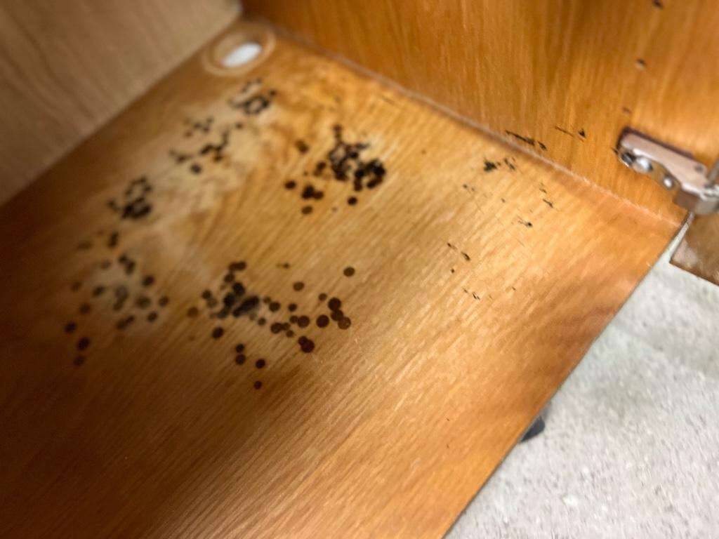 Vintage oak wall cabinet / wall cabinet / floating cabinet