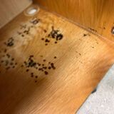 Vintage oak wall cabinet / wall cabinet / floating cabinet