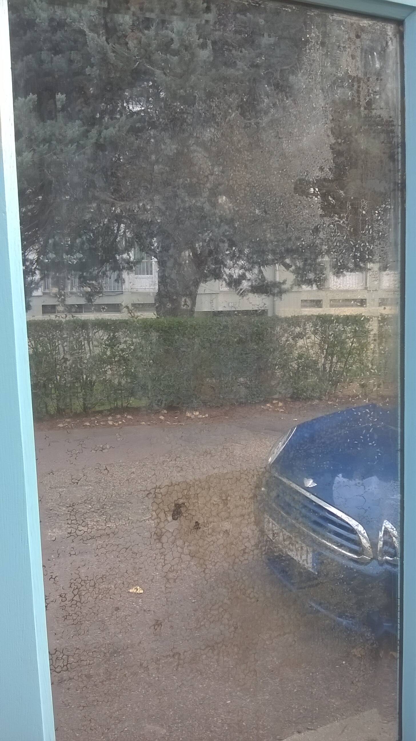 Parisian chest of drawers from the 1930s