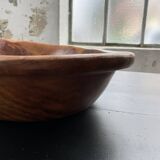 XL thuja root wooden dish