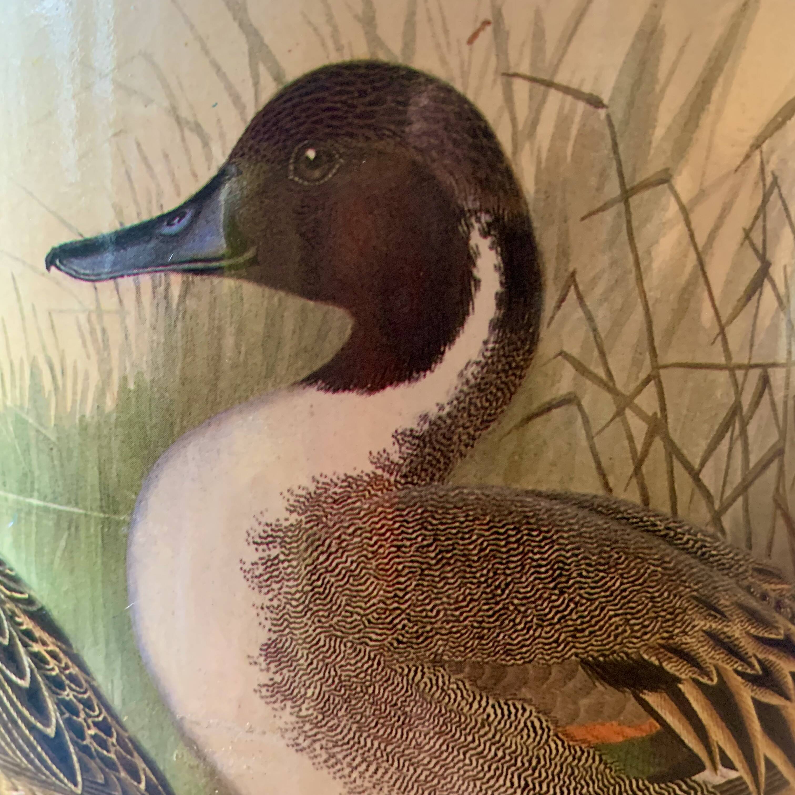 Old enameled sheet metal umbrella stand - duck decoration