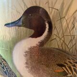 Old enameled sheet metal umbrella stand - duck decoration