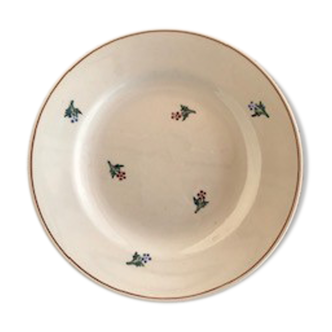 Lot of 8 hand-painted plates