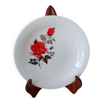 Lot de 4 assiettes à soupe Arcopal