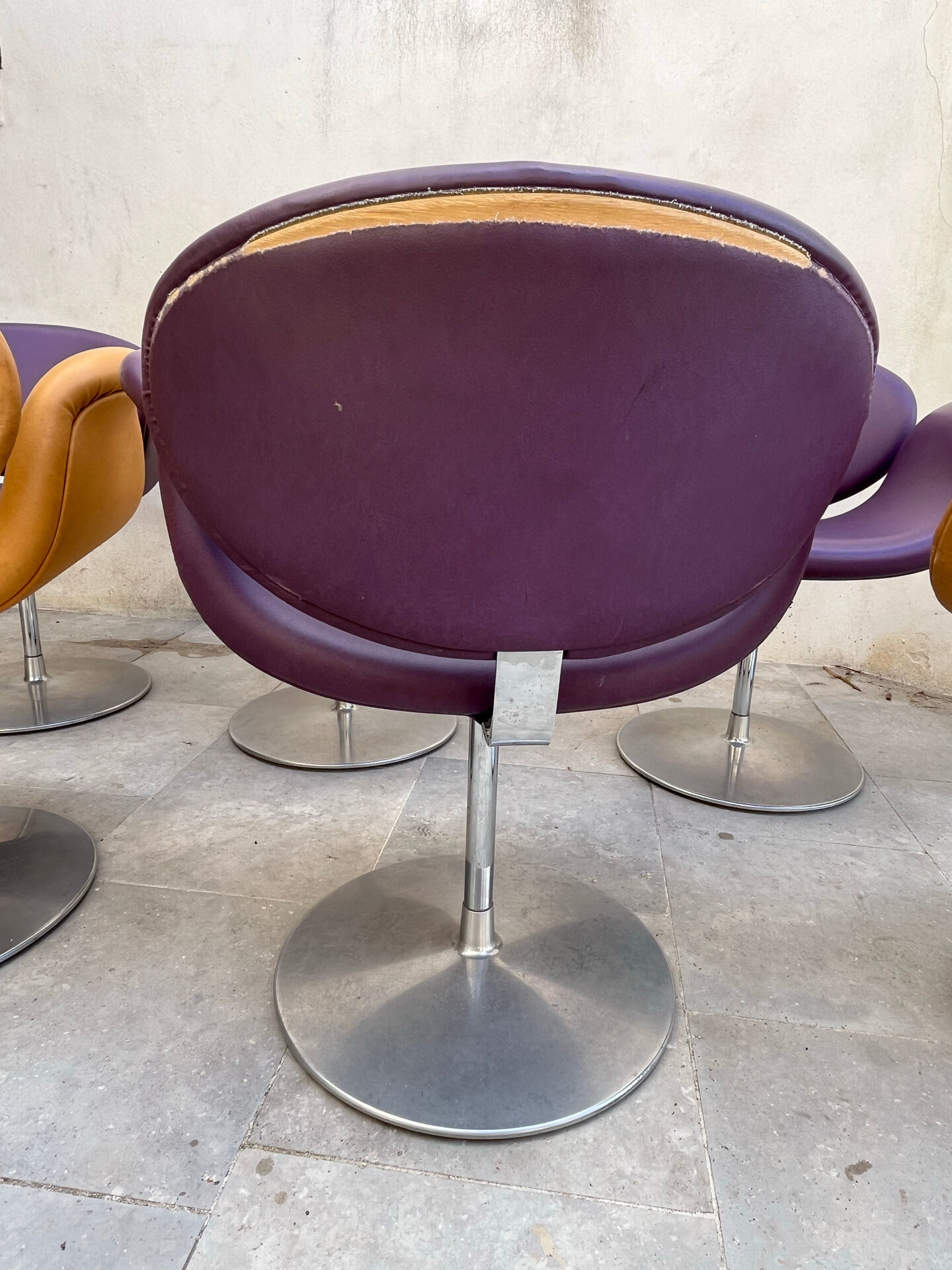 7 Tulip Chairs Paulin