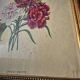 Antique botanical frame – “Carnation Variety” – Gilded wood