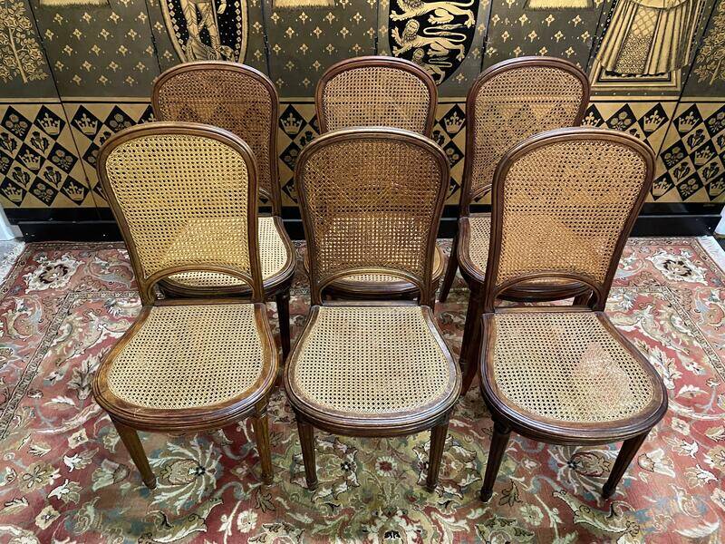 Set of 6 Louis XVI style chairs in cane - Caned