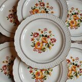12 antique flat plates "Capri"