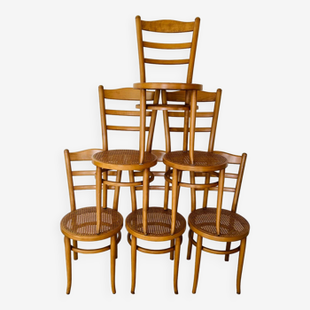 6 Baumann “Anteuil” chairs