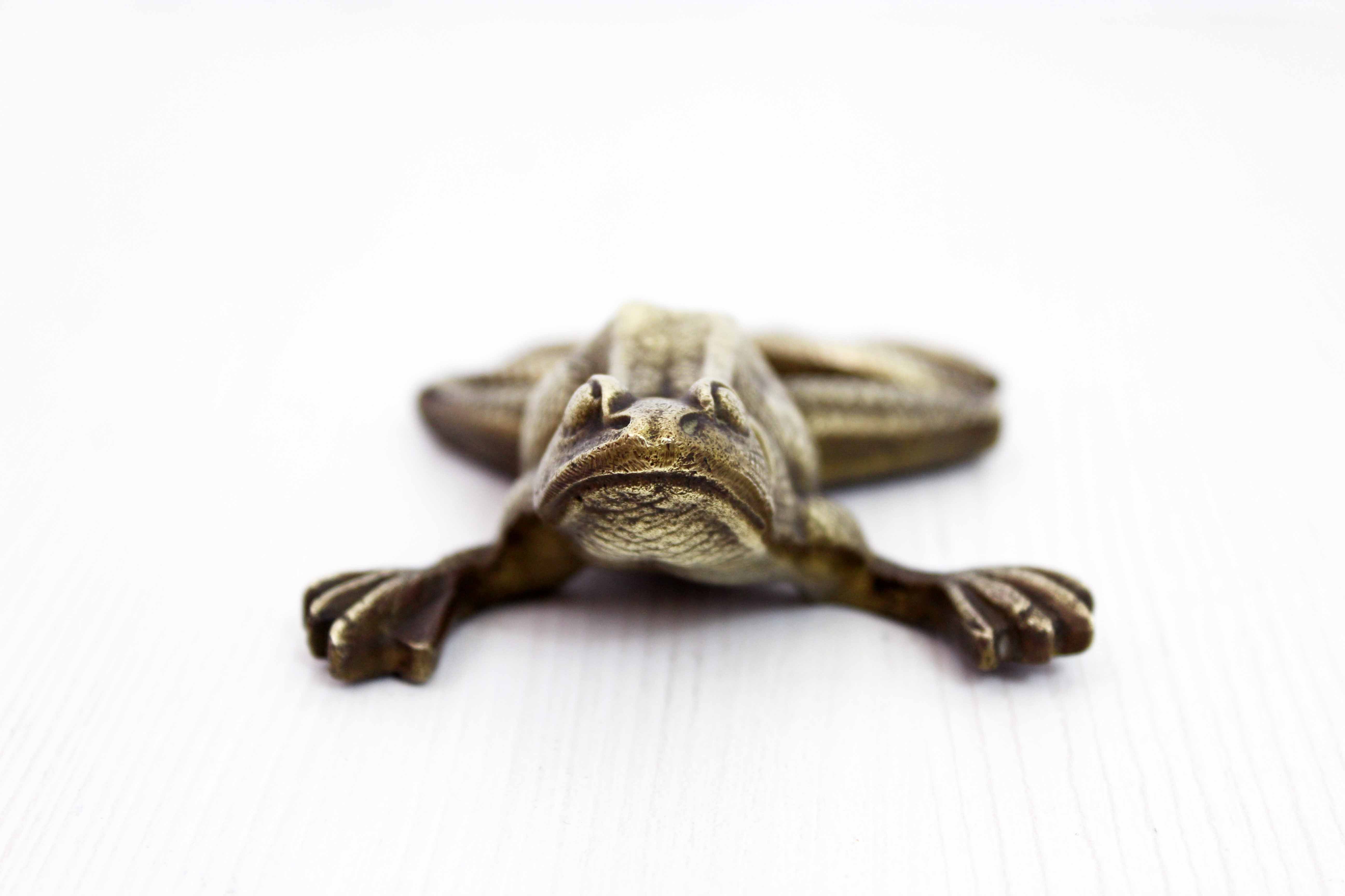 Bronze frog 50s