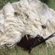 Fan scale ostrich feathers Napoleon III