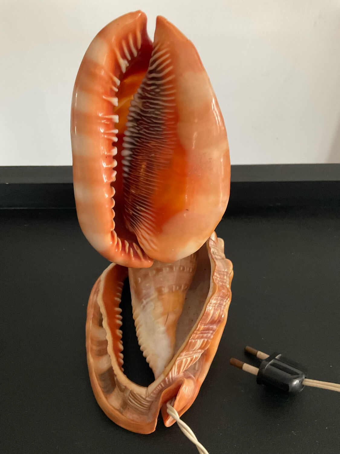 Vintage shell lamp from the 50s-60s