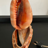 Vintage shell lamp from the 50s-60s