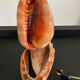 Vintage shell lamp from the 50s-60s