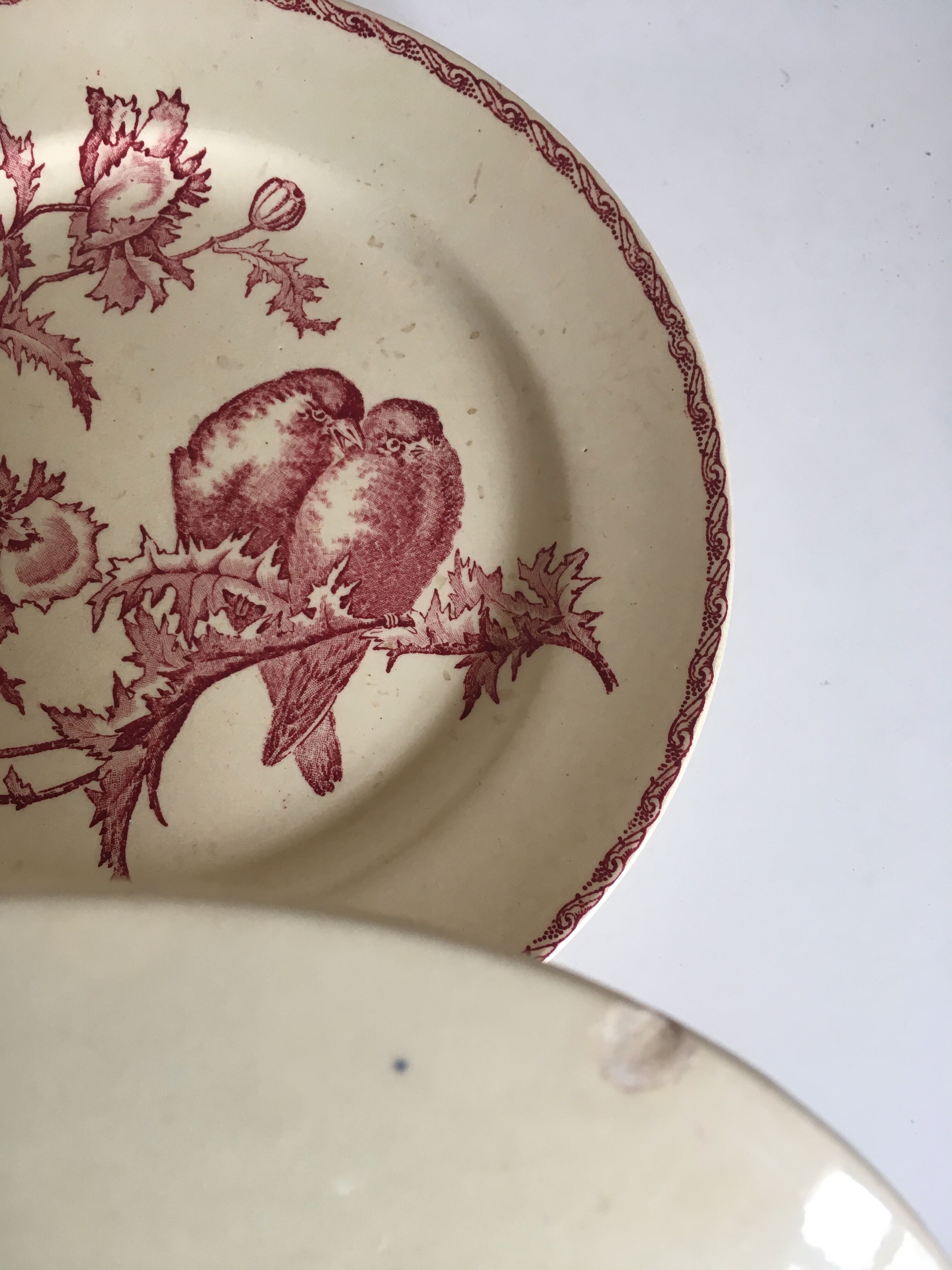 Set de 9 assiettes en faience 19e oiseaux Longwy