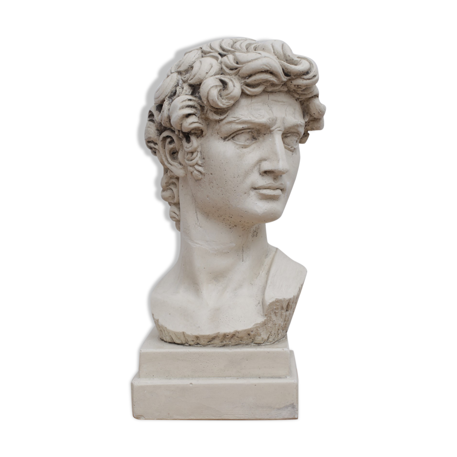David head in waxed ivory white plaster