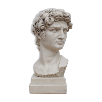 David head in waxed ivory white plaster