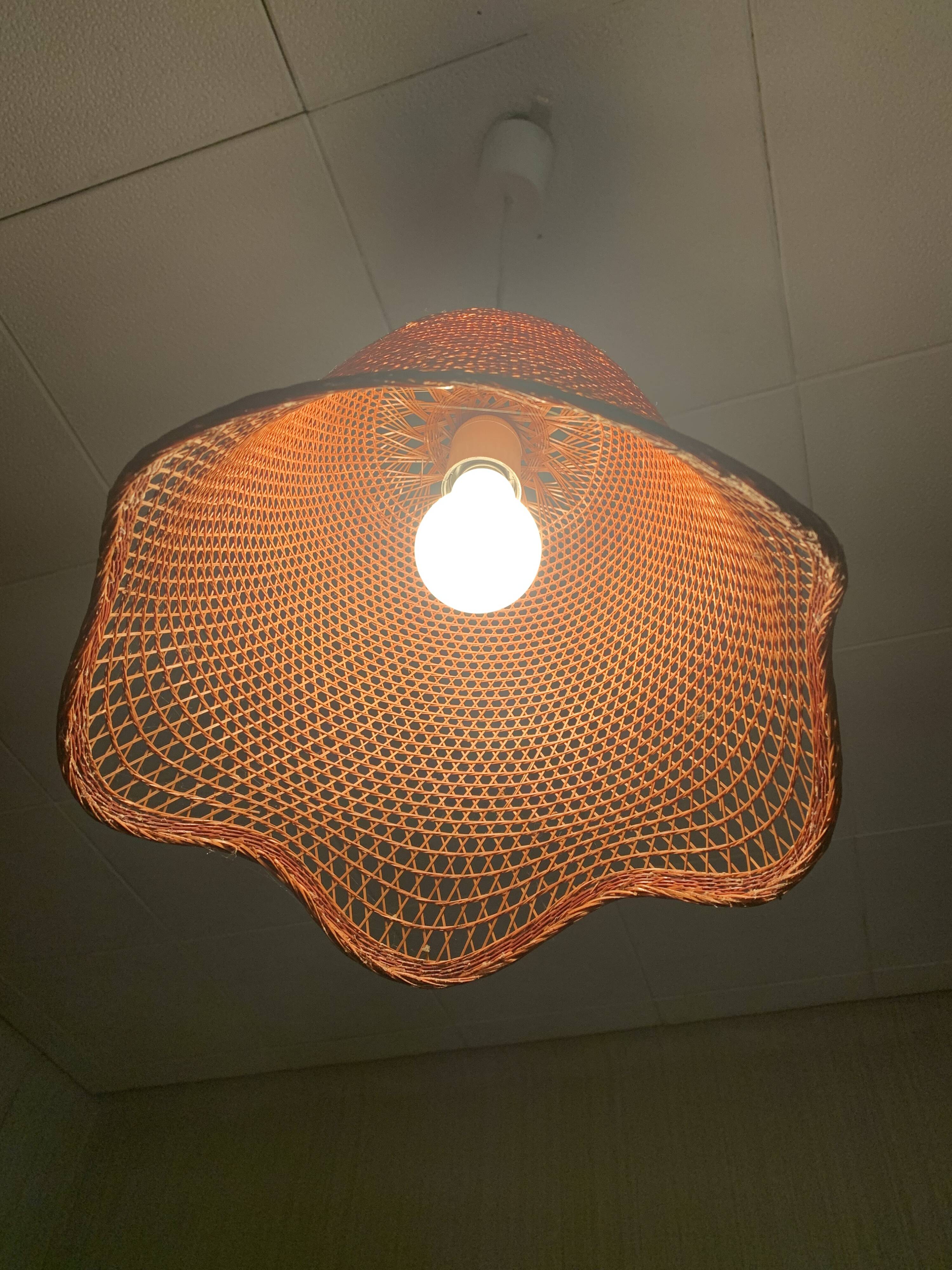 Braided light fixture
