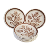 Ceramic plates thistles 70's
