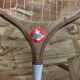 Pair old racket badminton odc wood sport vintage