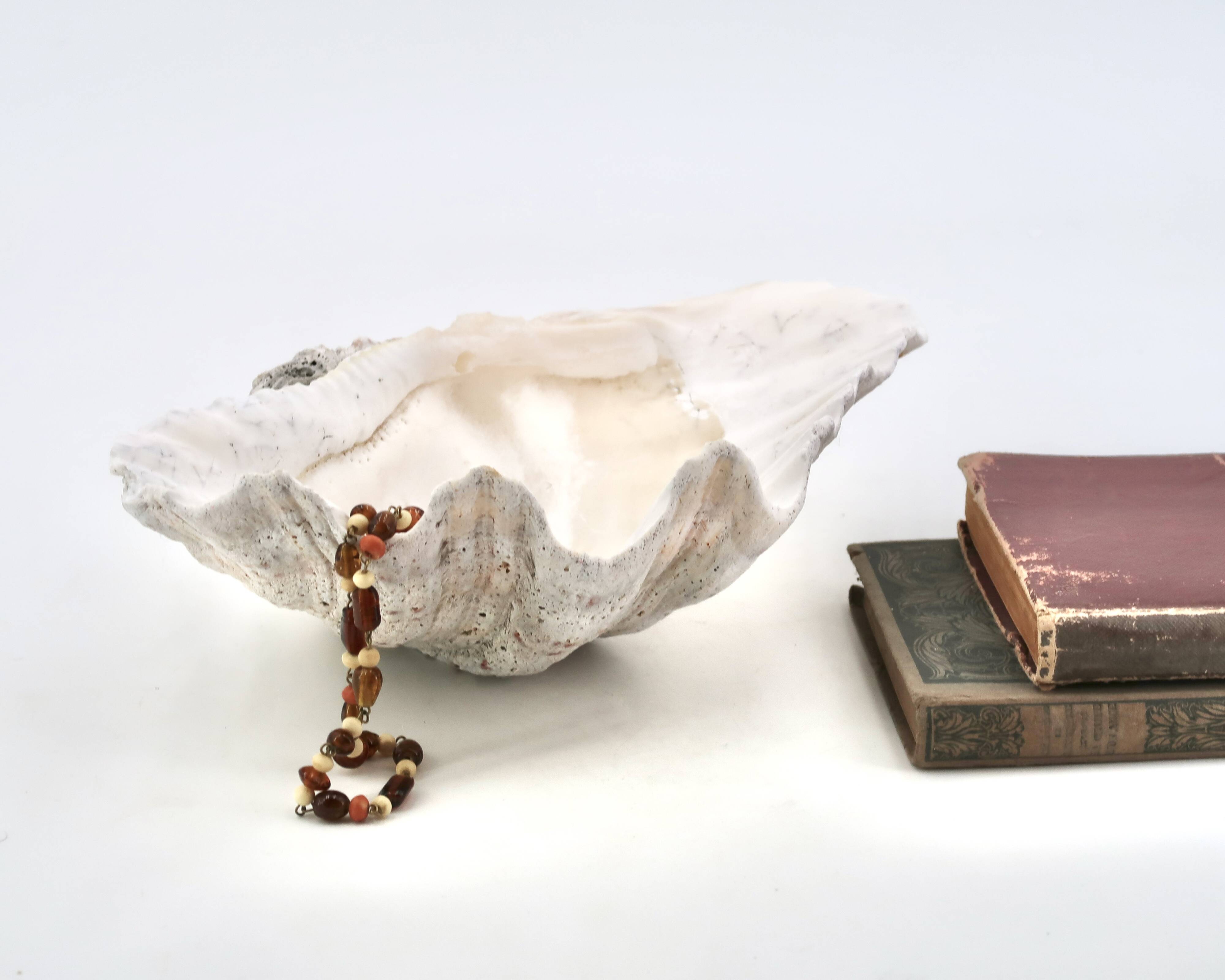 Natural white shell dish, 1970s.
