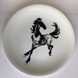 Salins collection plate