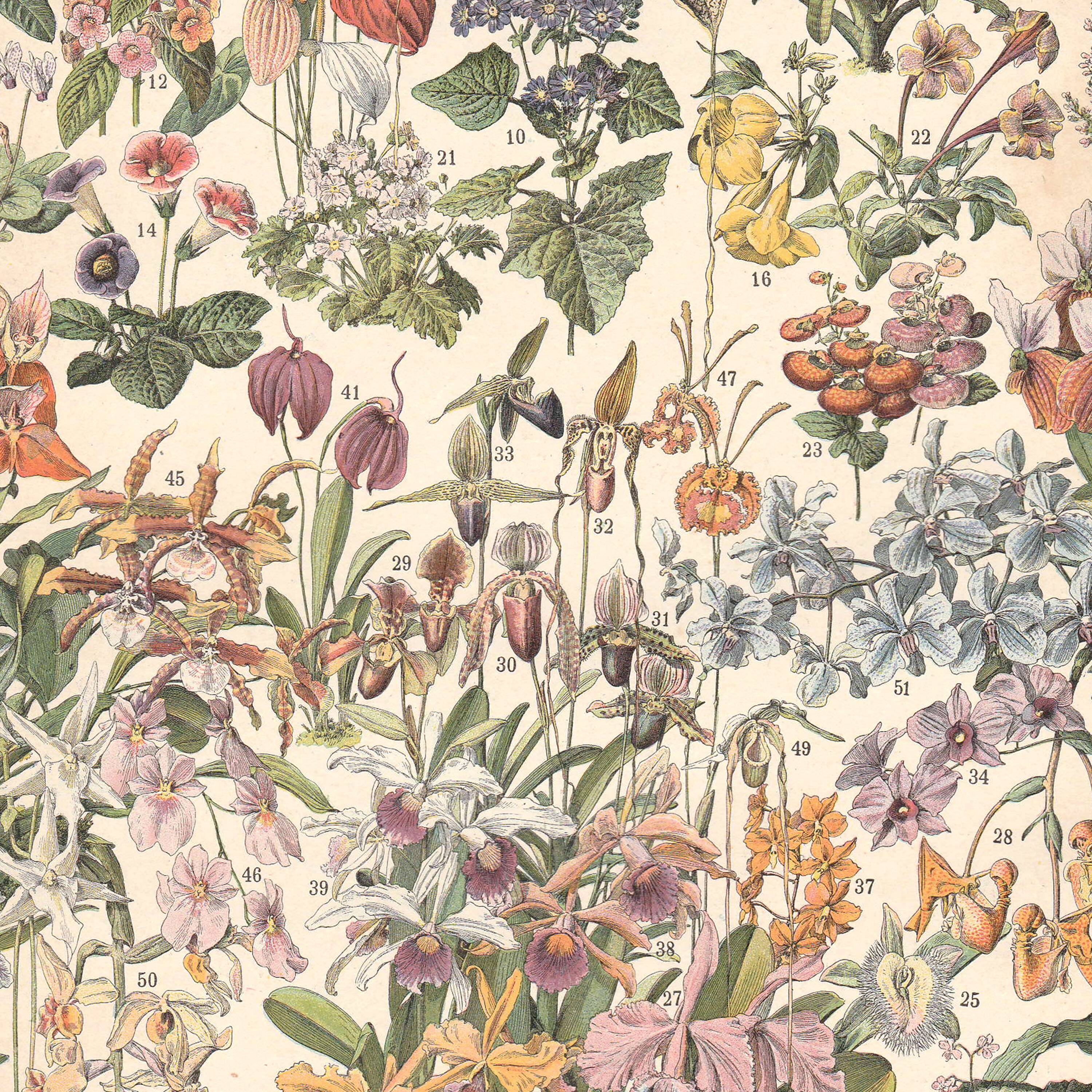 Old plate on greenhouse flowers and plants 1897
