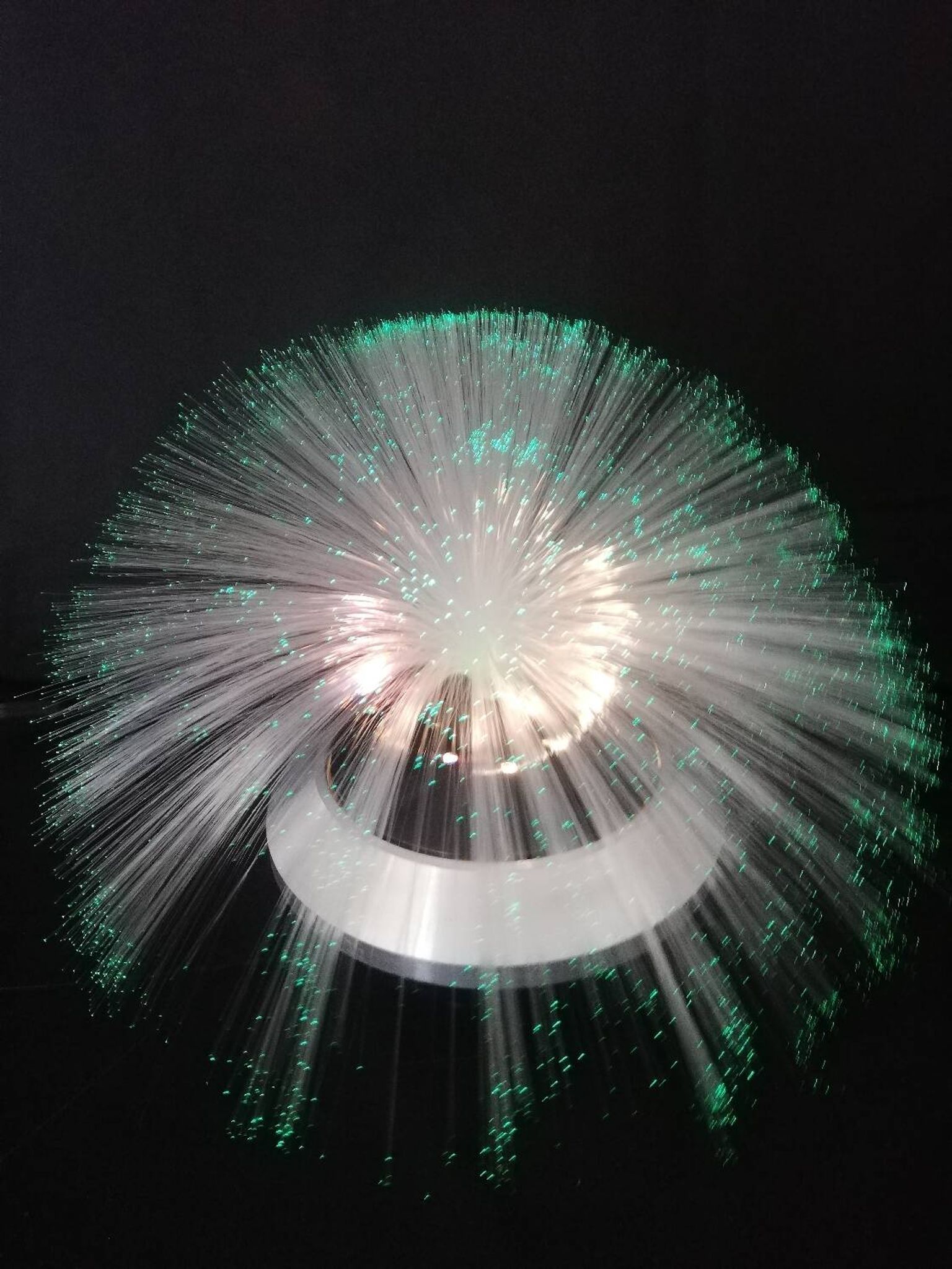 Fiber optic lamp