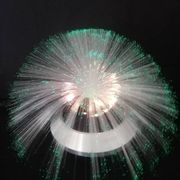 Fiber optic lamp