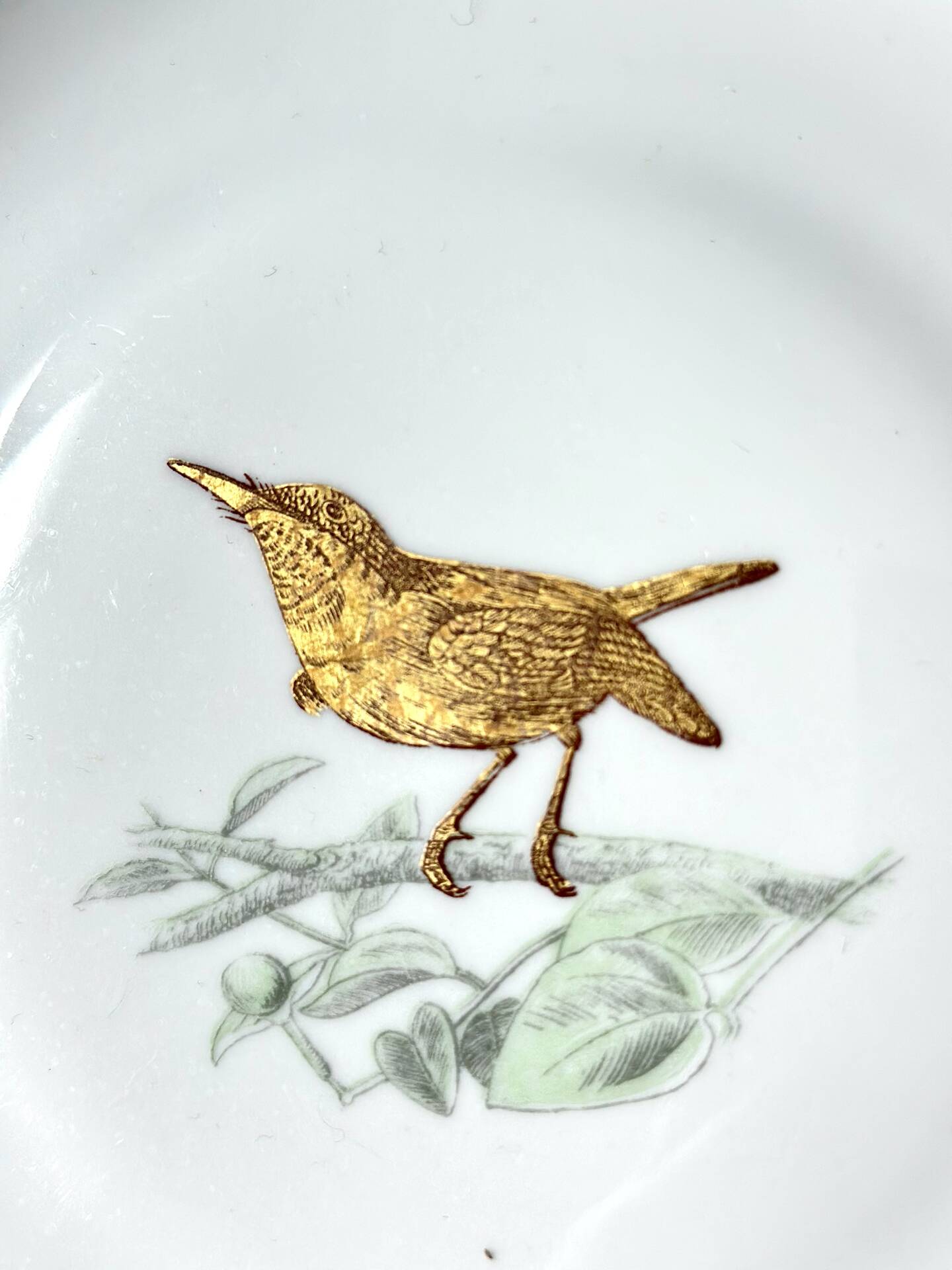 Service Bernardaud Les oiseaux d’or