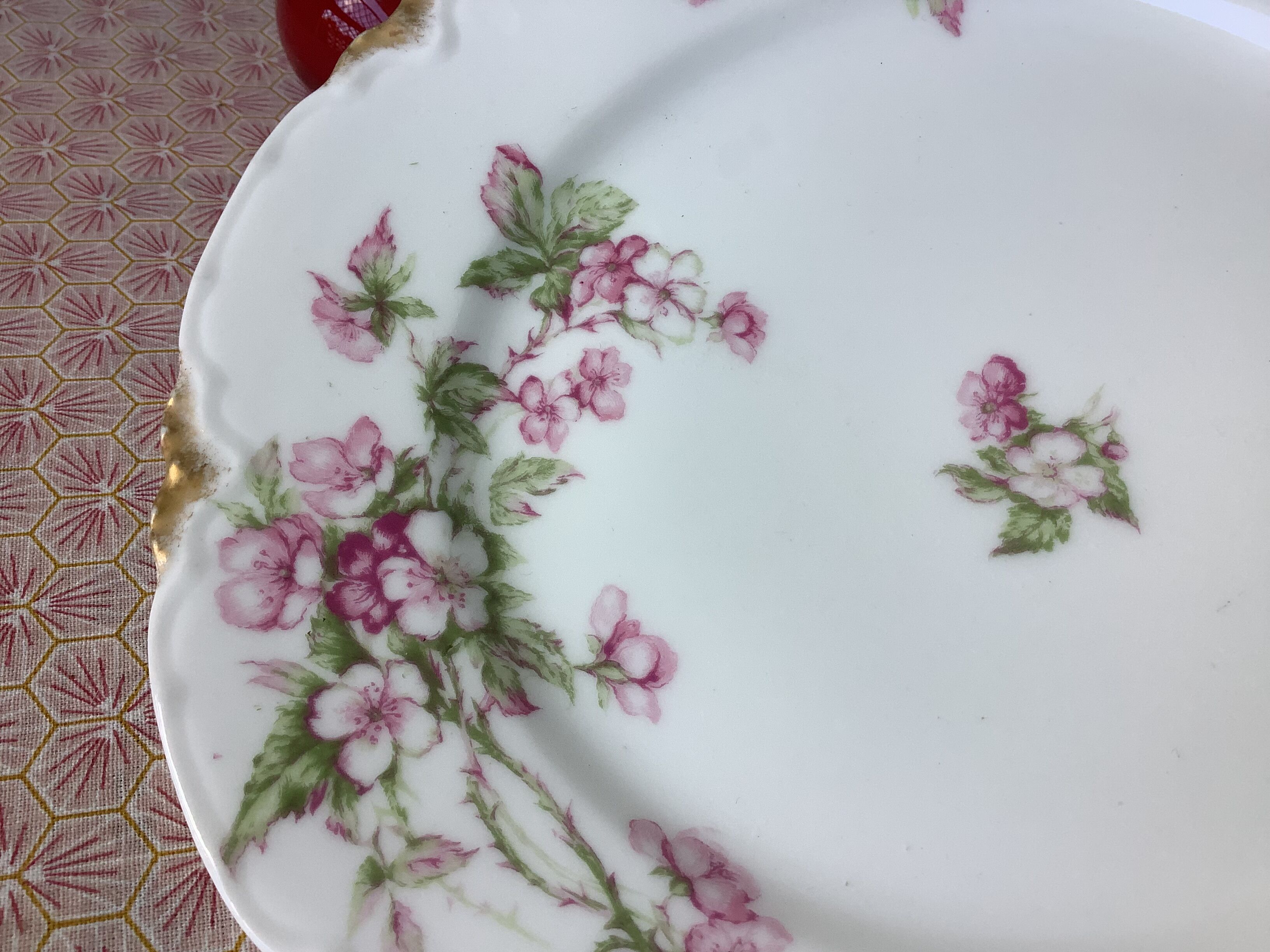 Plates Haviland Limoges 1900 - floral decoration liberty