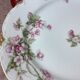 Plates Haviland Limoges 1900 - floral decoration liberty