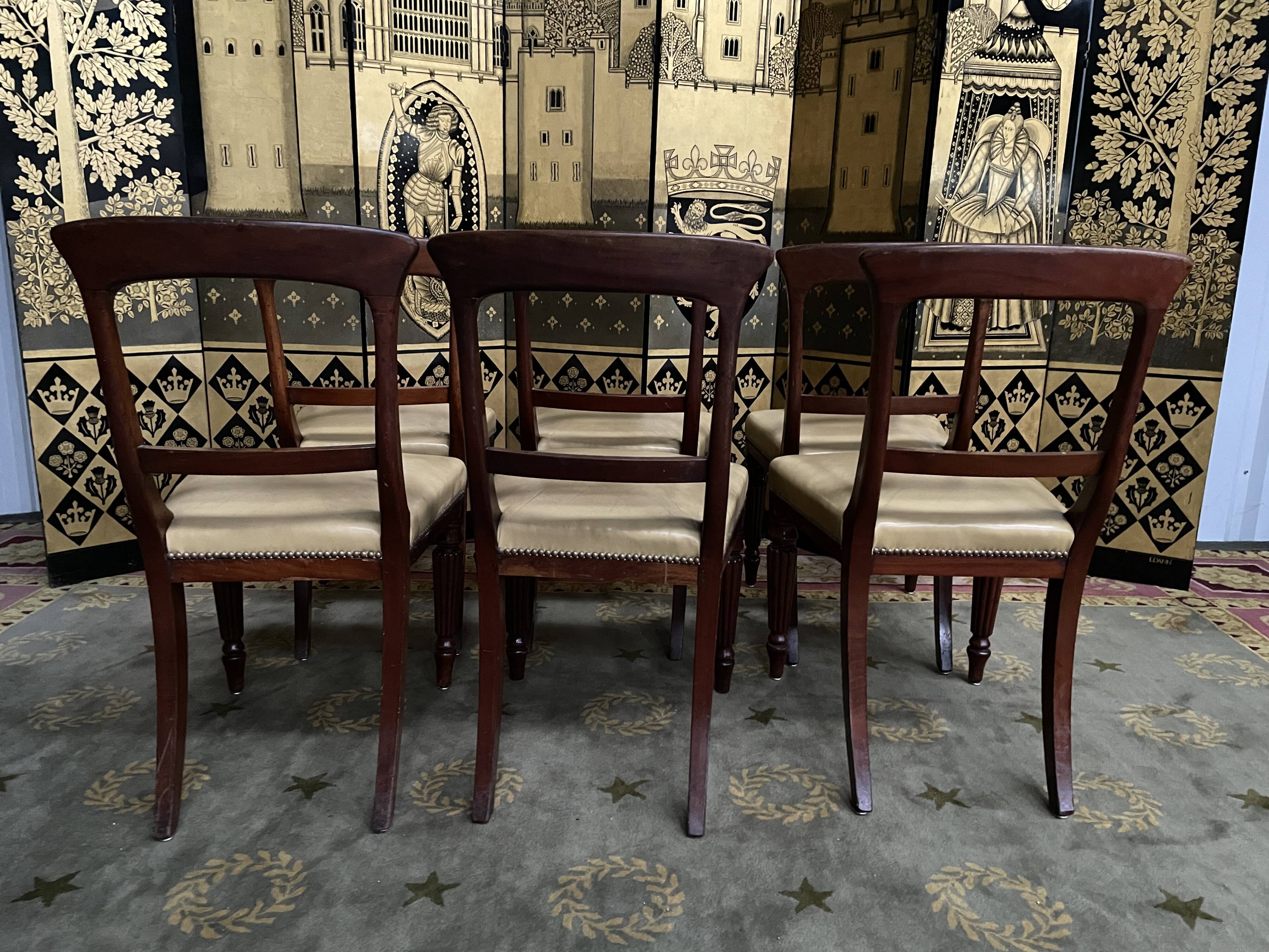6 chaises anglaises Louis Philippe en acajou et cuir