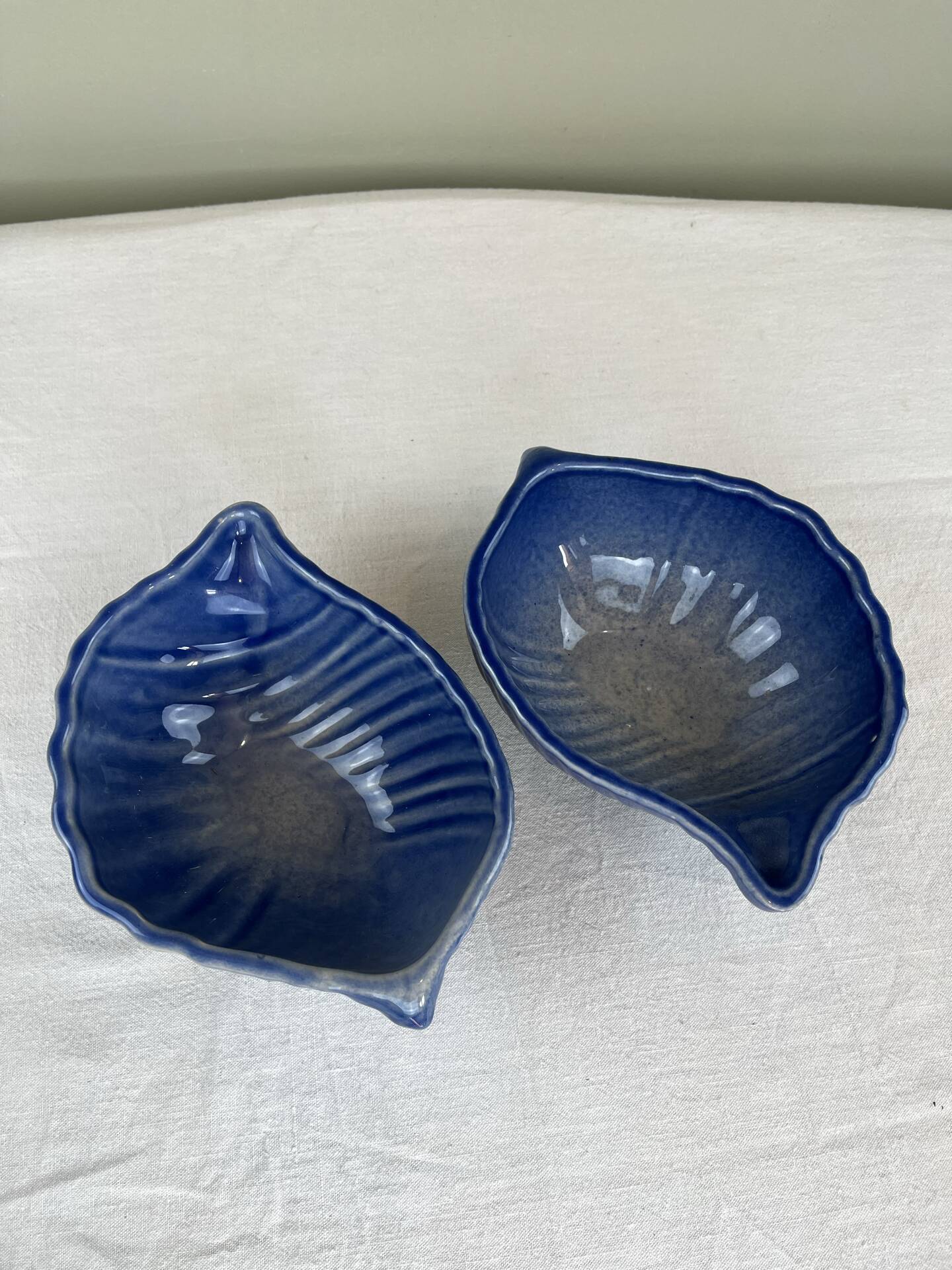 Set of shell bowls