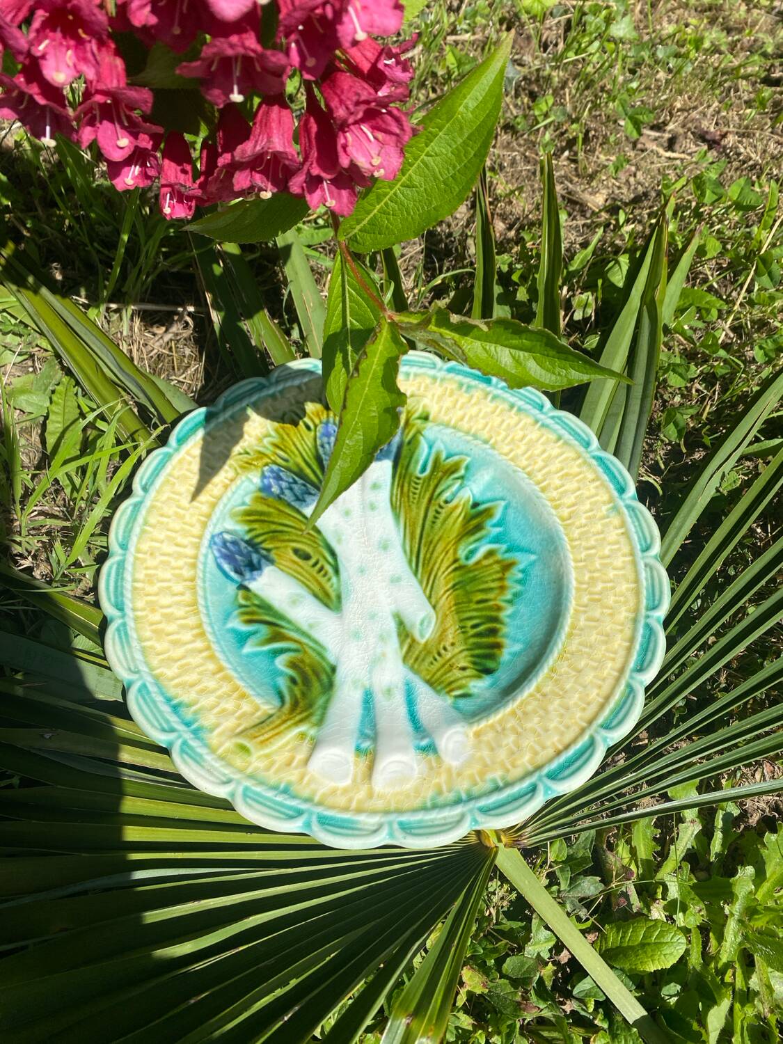 Assiette à asperges, artichaut en majolique