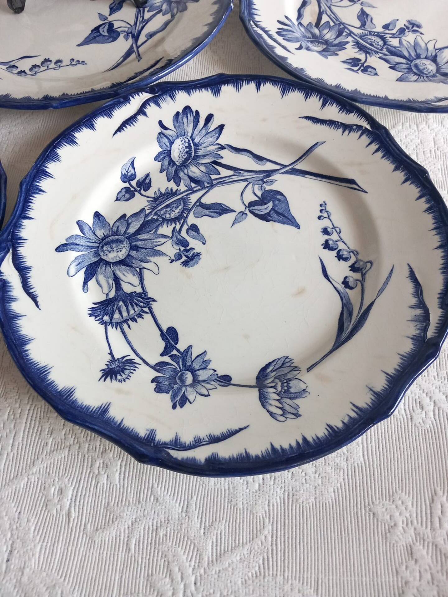6 antique plates Creil & Montereau Sunflower model – 19th century