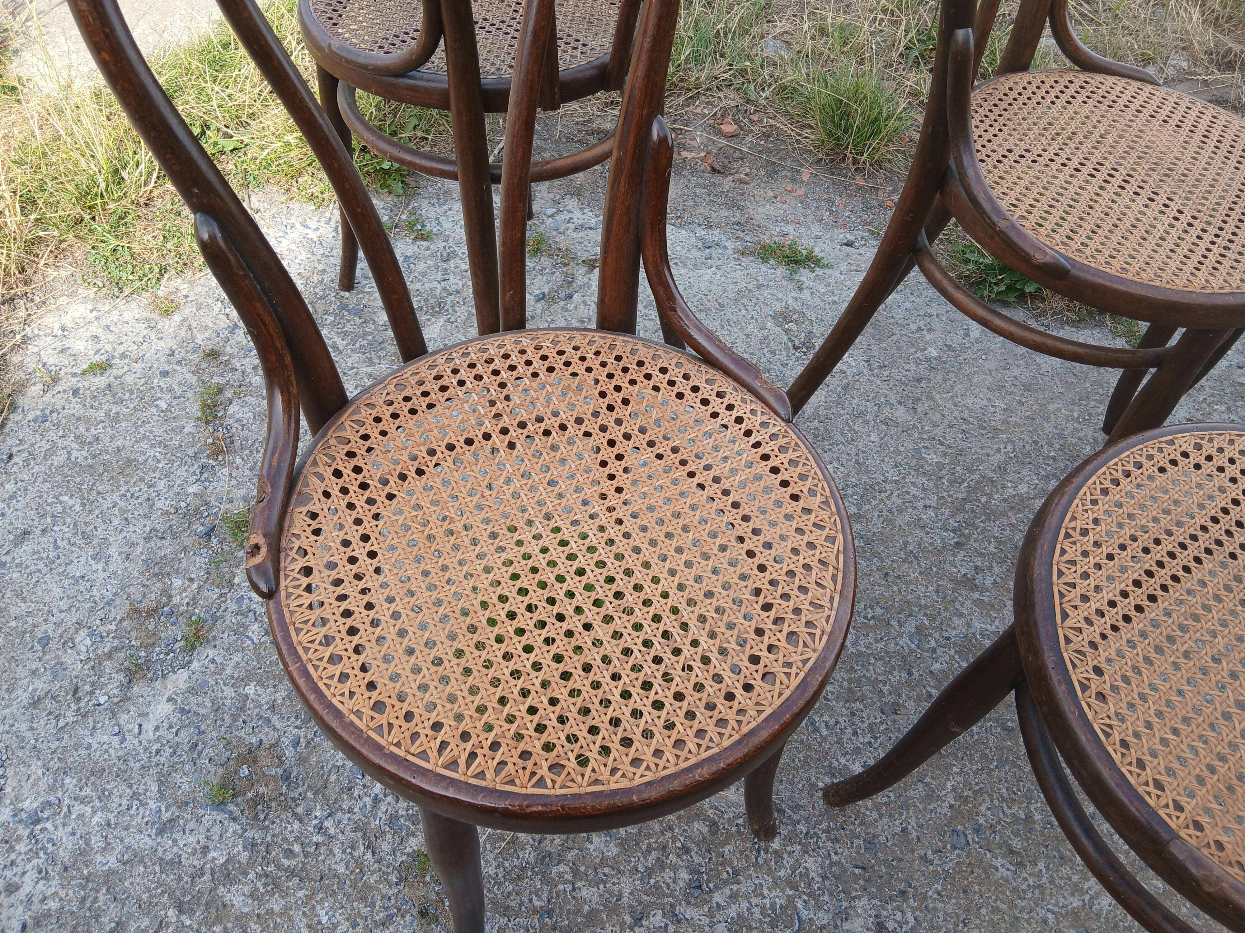 Chaises Thonet
