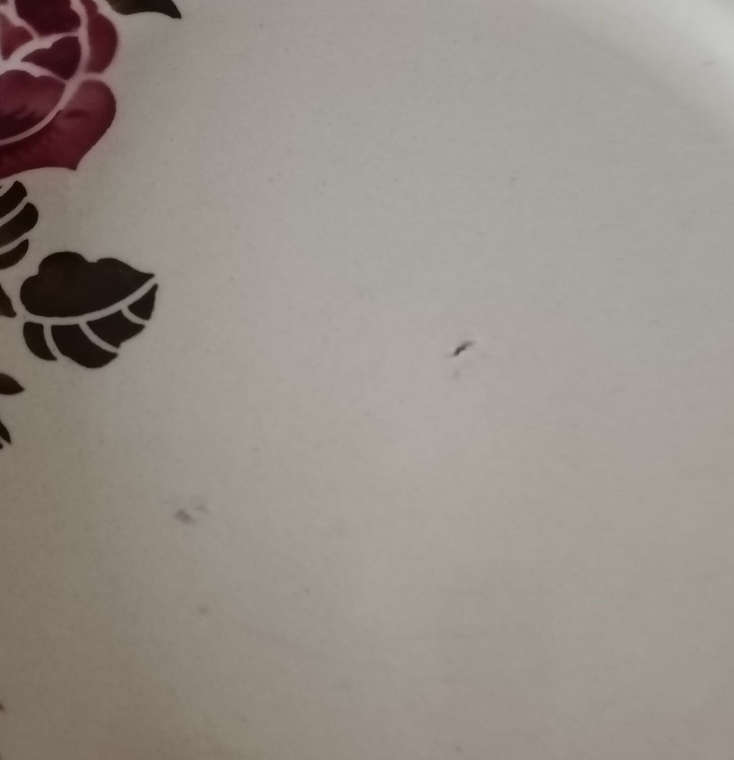 Two iron earth plates decorated with rose