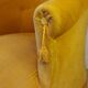Ensemble crapaud moutarde