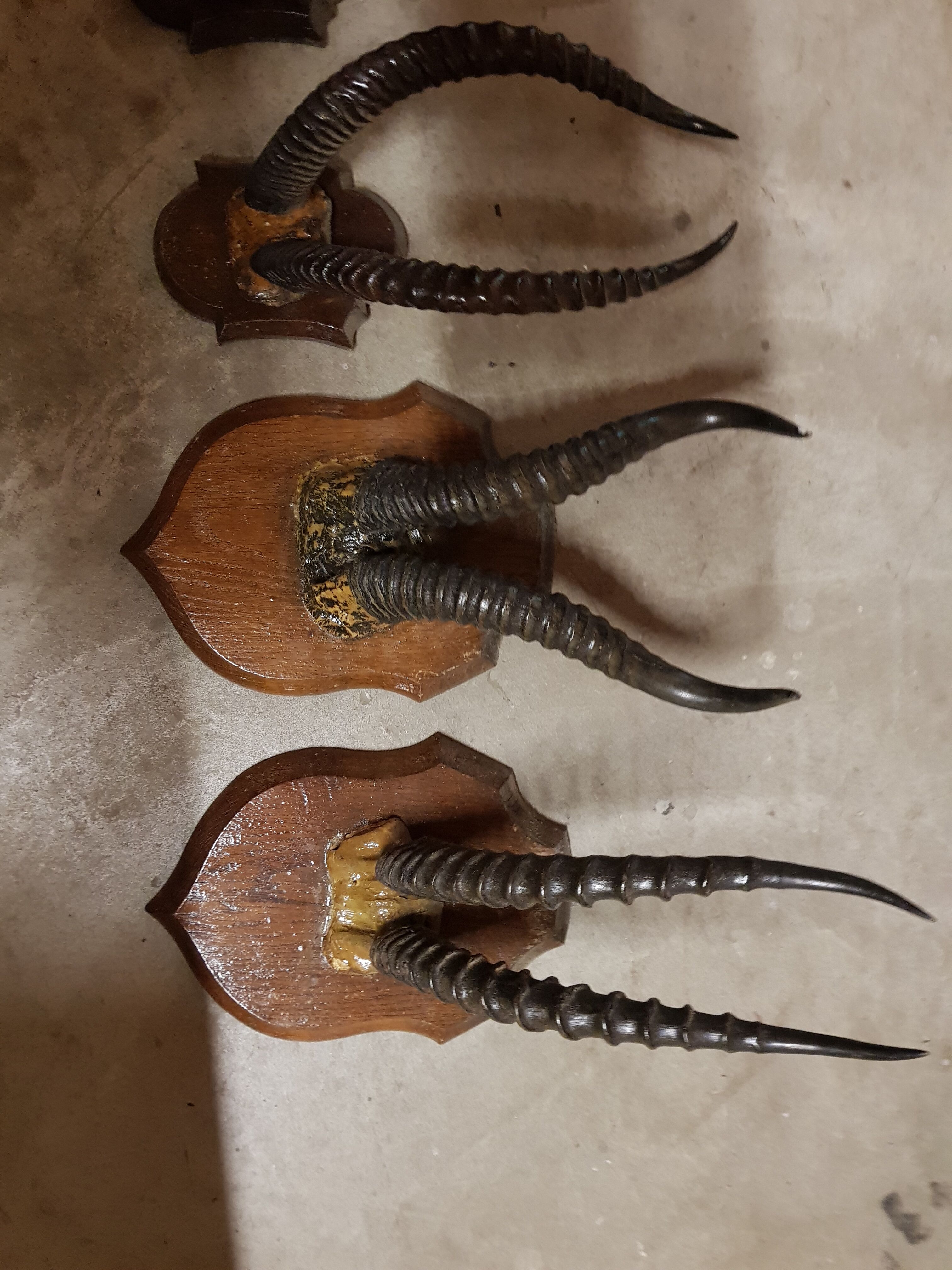Trophies